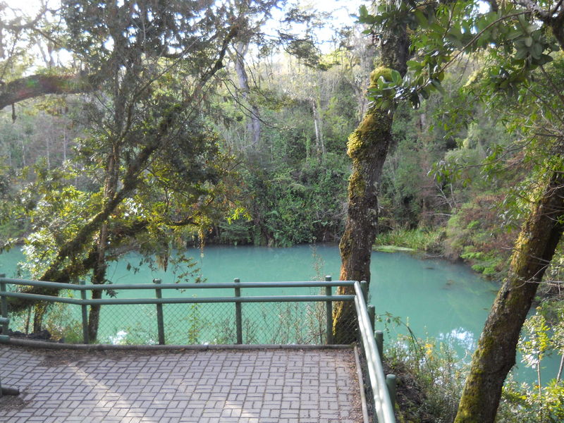 Foto: Puerto Varas - Puerto Varas (Los Lagos), Chile