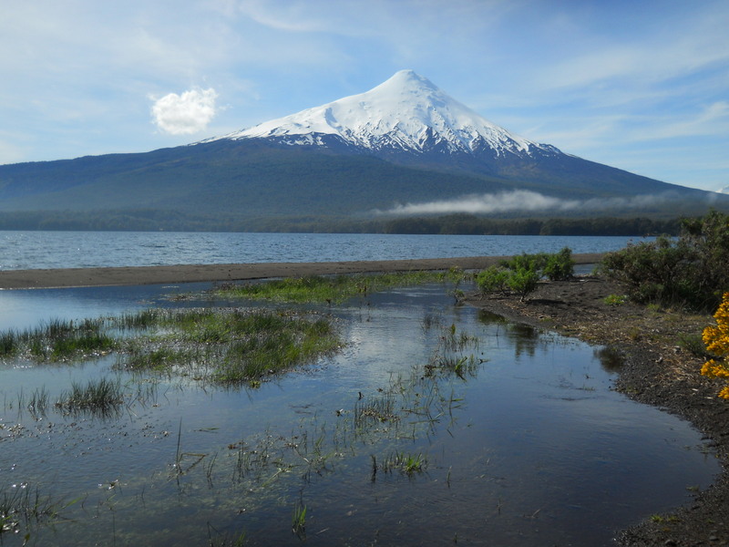 Foto: Puerto Varas - Puerto Varas (Los Lagos), Chile