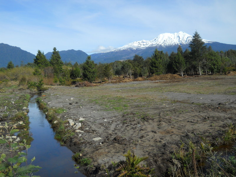 Foto: Puerto Varas - Puerto Varas (Los Lagos), Chile