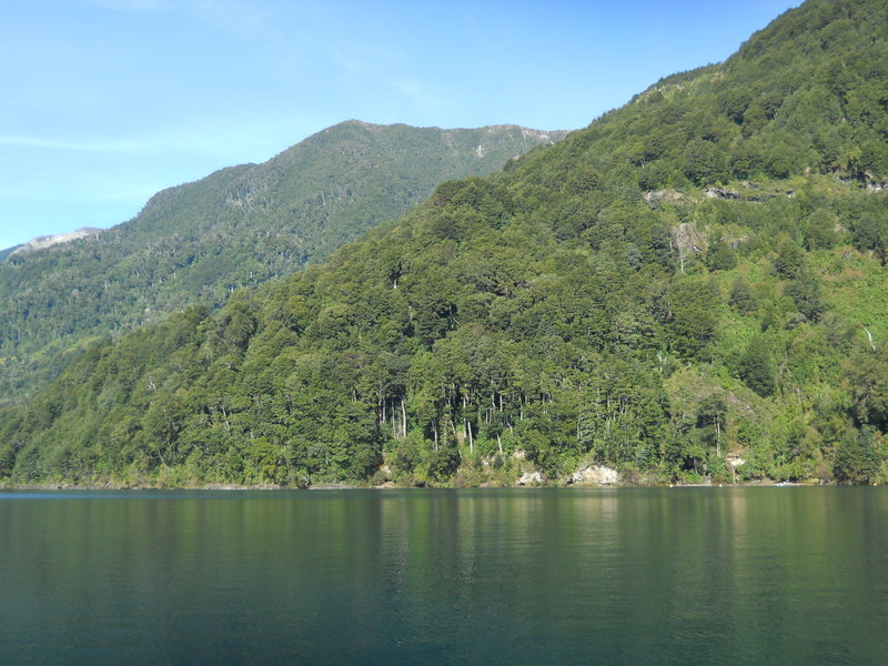 Foto: Puerto Varas - Puerto Varas (Los Lagos), Chile