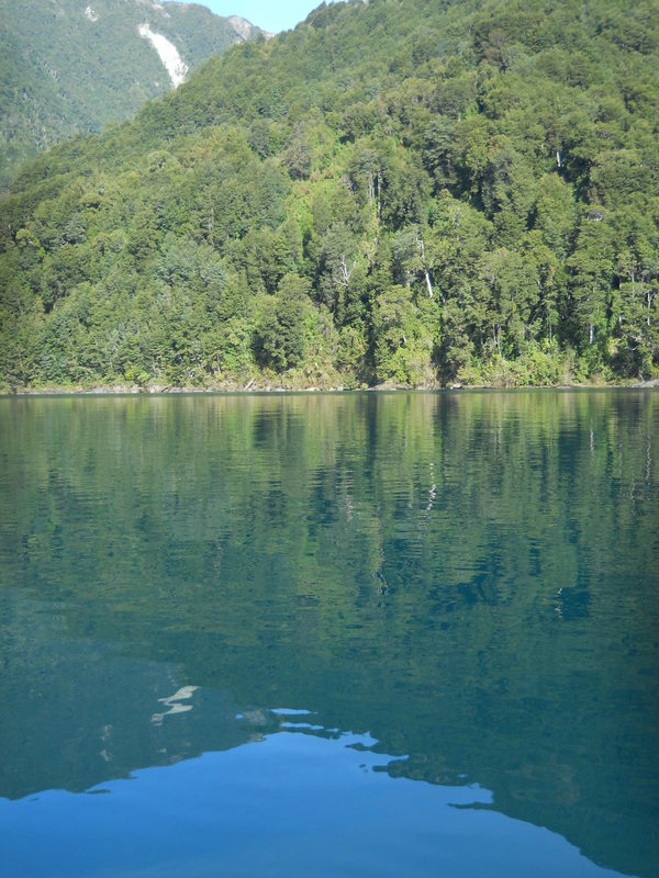 Foto: Puerto Varas - Puerto Varas (Los Lagos), Chile