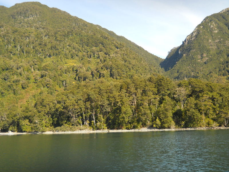 Foto: Puerto Varas - Puerto Varas (Los Lagos), Chile