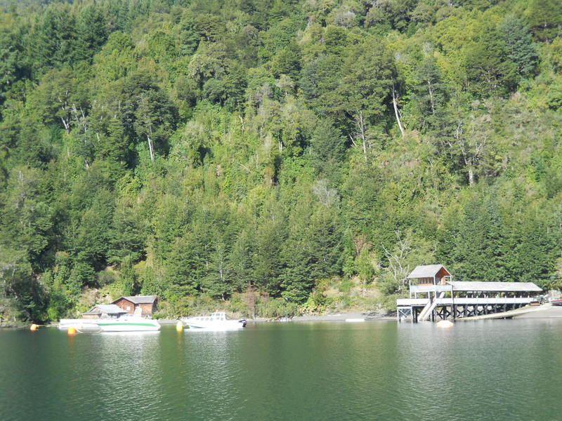 Foto: Puerto Varas - Puerto Varas (Los Lagos), Chile