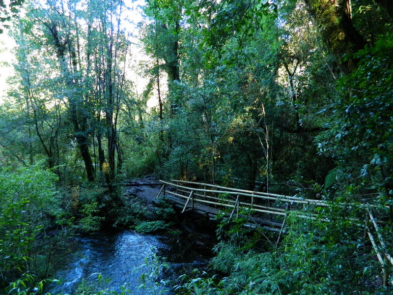 Foto: Pucon - Pucon (Araucanía), Chile