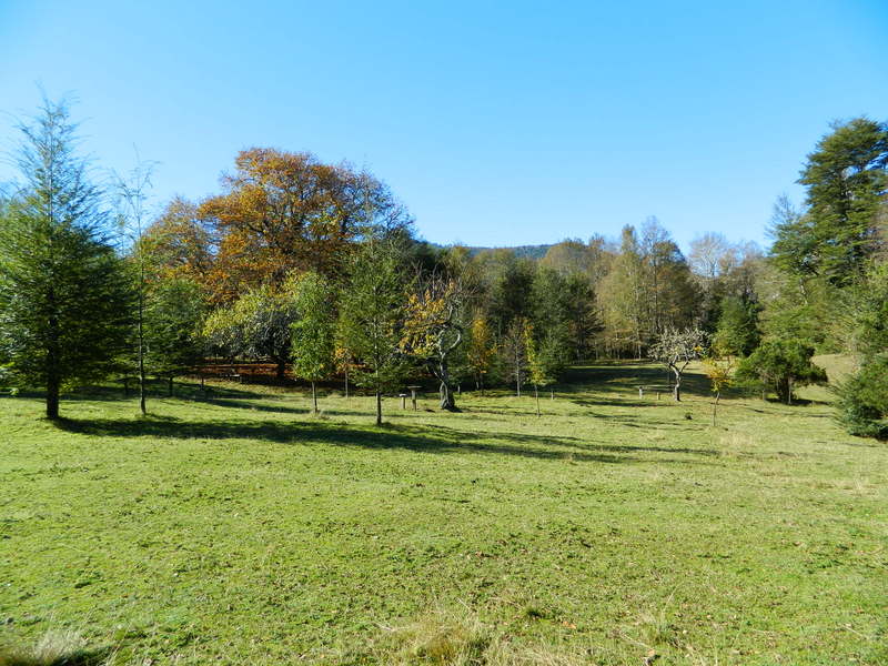 Foto: Pucon - Pucon (Araucanía), Chile