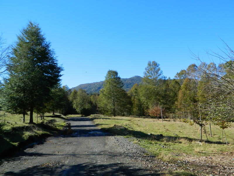 Foto: Pucon - Pucon (Araucanía), Chile