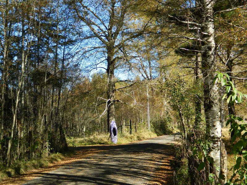 Foto: Pucon - Pucon (Araucanía), Chile