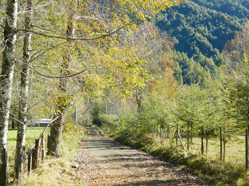 Foto: Pucon - Pucon (Araucanía), Chile