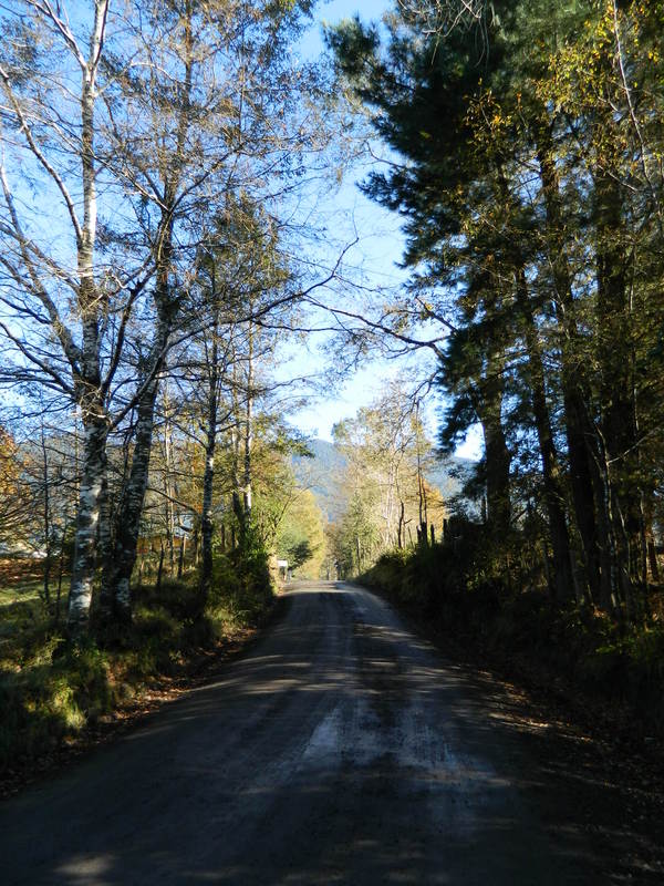 Foto: Pucon - Pucon (Araucanía), Chile