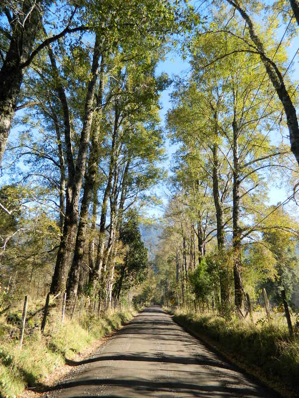 Foto: Pucon - Pucon (Araucanía), Chile