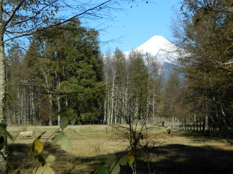 Foto: Pucon - Pucon (Araucanía), Chile