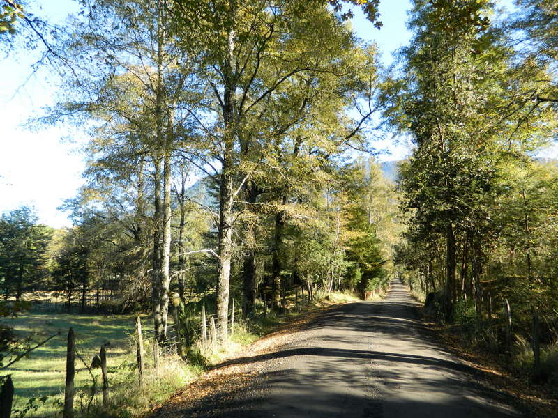 Foto: Pucon - Pucon (Araucanía), Chile