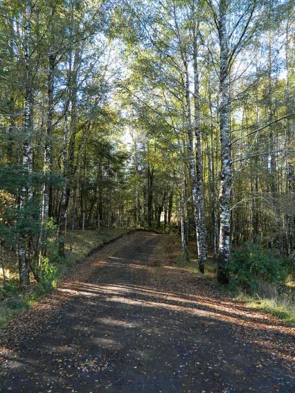 Foto: Pucon - Pucon (Araucanía), Chile