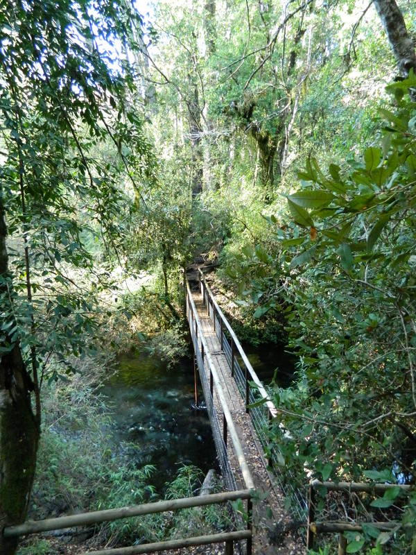 Foto: Pucon - Pucon (Araucanía), Chile