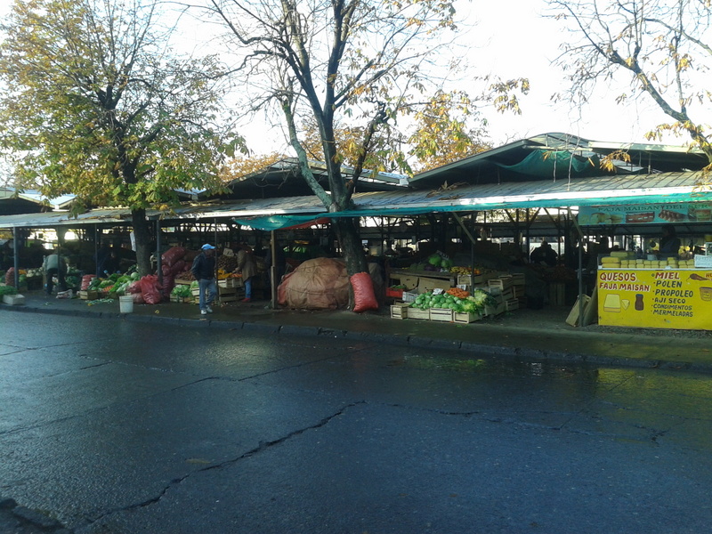 Foto: Temuco - Temuco (Araucanía), Chile