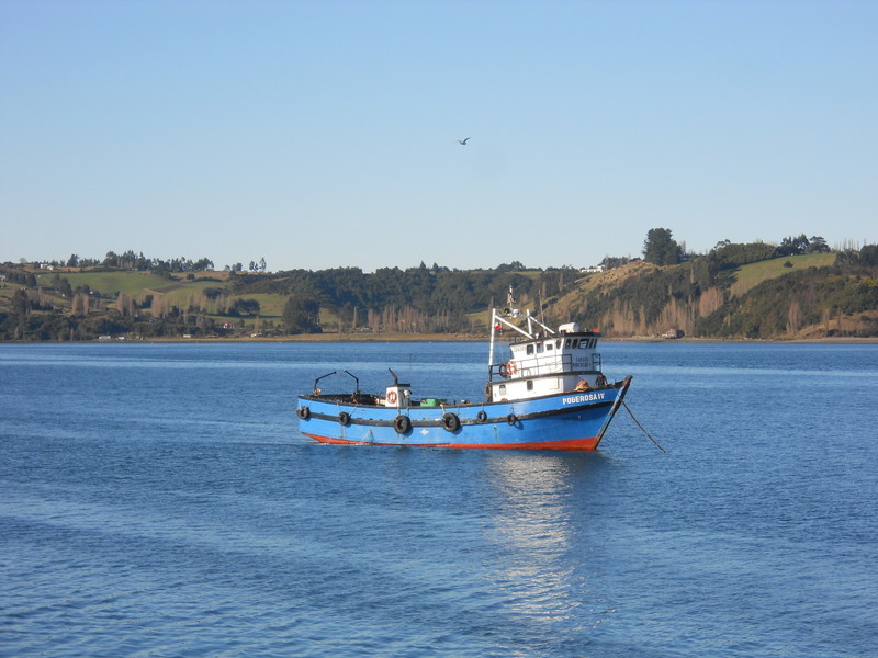 Foto: Castro - Castro (Los Lagos), Chile