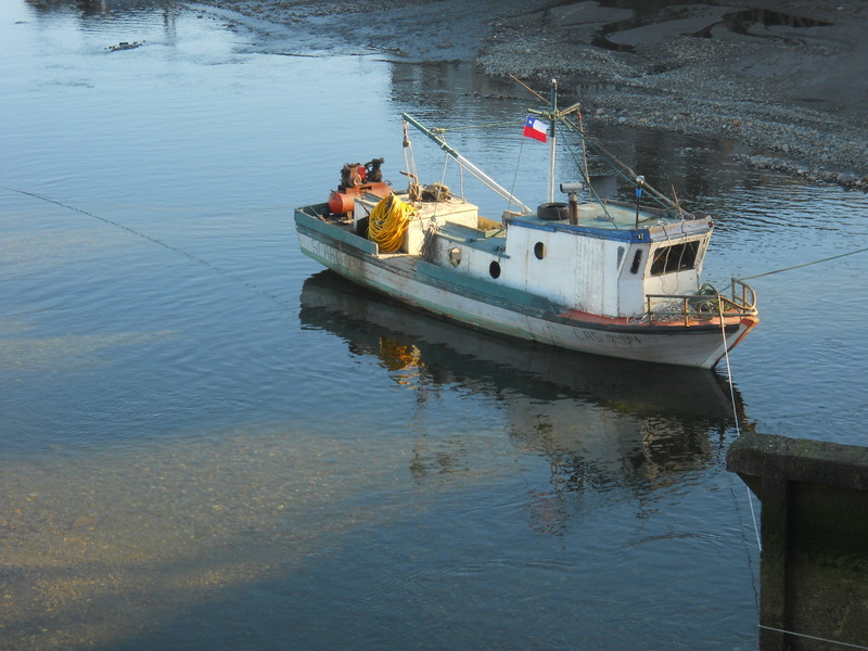 Foto: Castro - Castro (Los Lagos), Chile