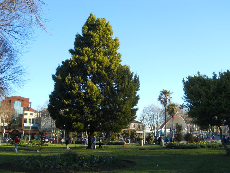 Foto: Castro - Castro (Los Lagos), Chile