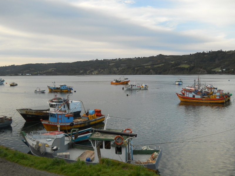 Foto: Dalcahue - Dalcahue (Los Lagos), Chile