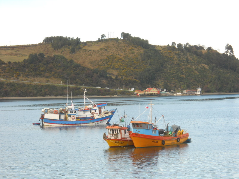 Foto: Dalcahue - Dalcahue (Los Lagos), Chile