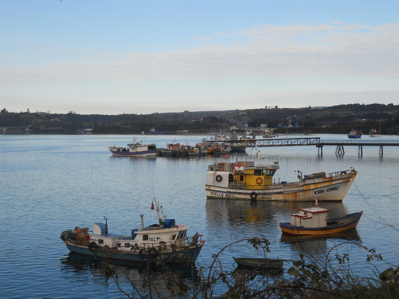 Foto: Dalcahue - Dalcahue (Los Lagos), Chile