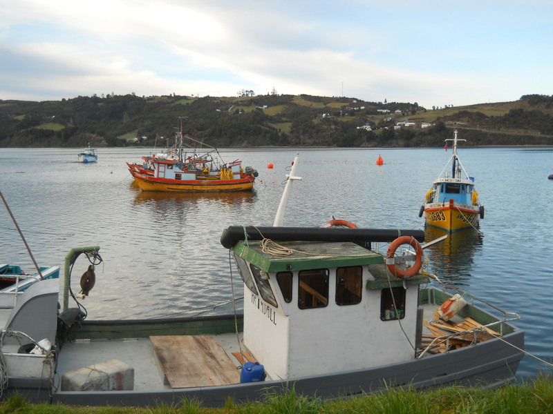 Foto: Dalcahue - Dalcahue (Los Lagos), Chile