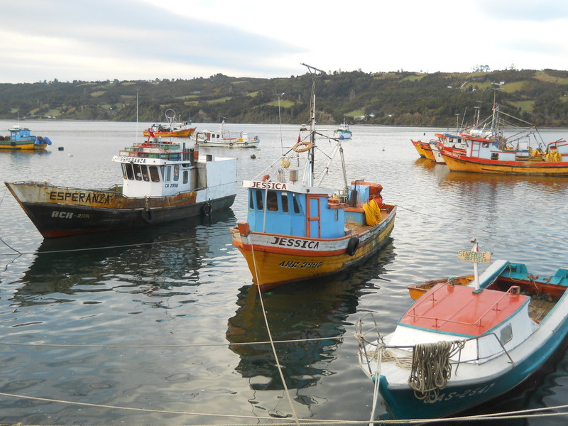 Foto: Dalcahue - Dalcahue (Los Lagos), Chile