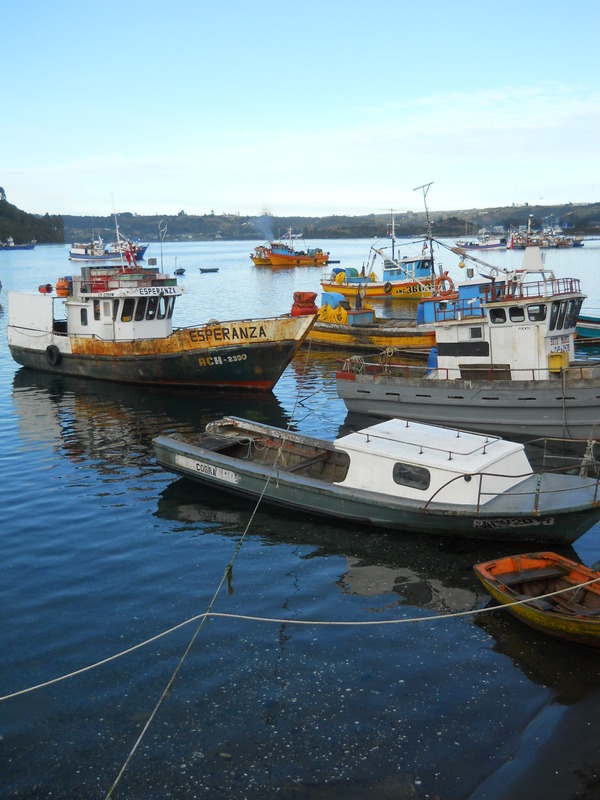 Foto: Dalcahue - Dalcahue (Los Lagos), Chile