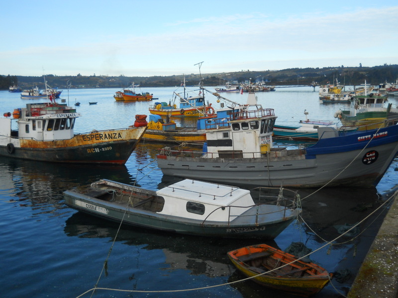 Foto: Dalcahue - Dalcahue (Los Lagos), Chile