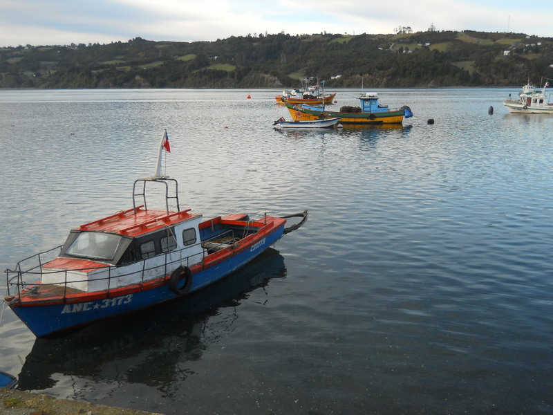 Foto: Dalcahue - Dalcahue (Los Lagos), Chile