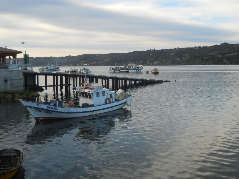 Foto: Dalcahue - Dalcahue (Los Lagos), Chile