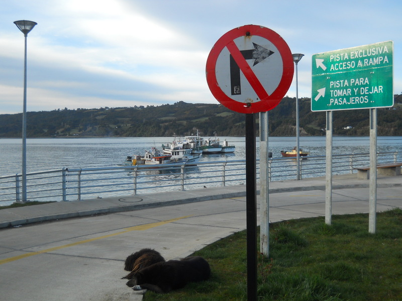 Foto: Dalcahue - Dalcahue (Los Lagos), Chile