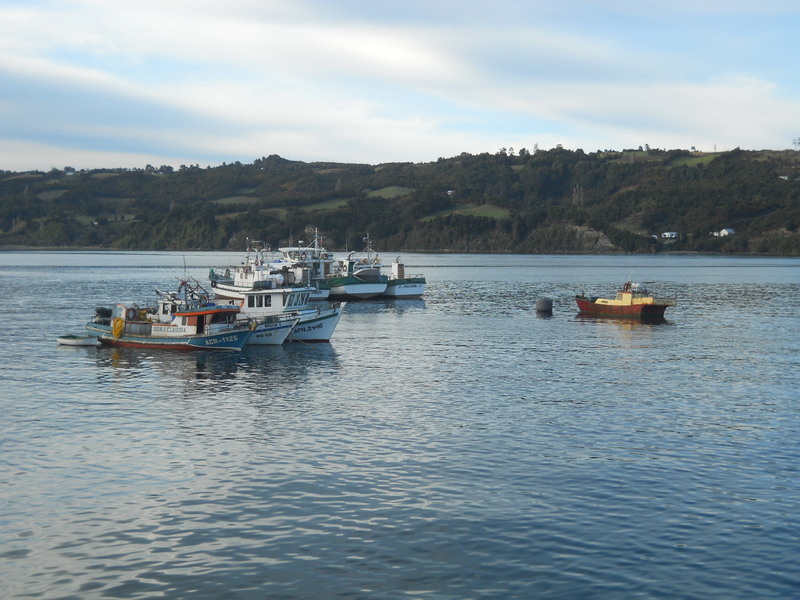 Foto: Dalcahue - Dalcahue (Los Lagos), Chile