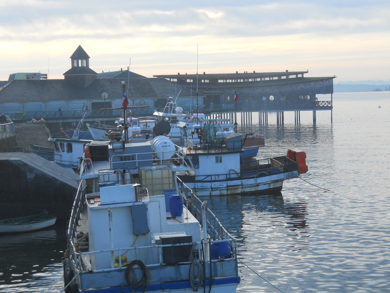 Foto: Dalcahue - Dalcahue (Los Lagos), Chile