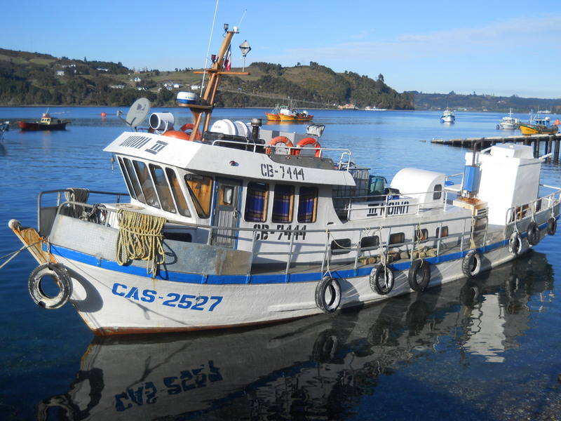 Foto: Dalcahue - Dalcahue (Los Lagos), Chile