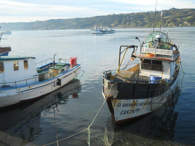 Foto: Dalcahue - Dalcahue (Los Lagos), Chile