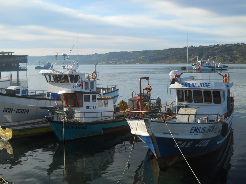 Foto: Dalcahue - Dalcahue (Los Lagos), Chile