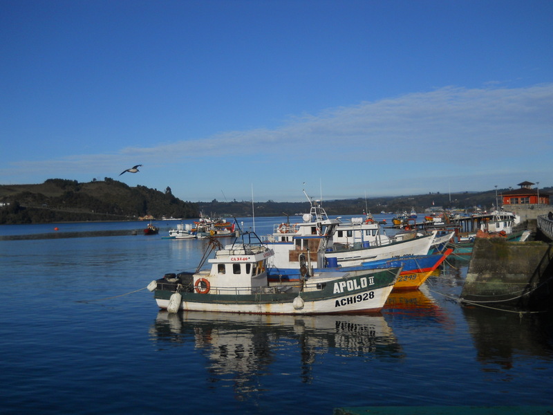 Foto: Dalcahue - Dalcahue (Los Lagos), Chile