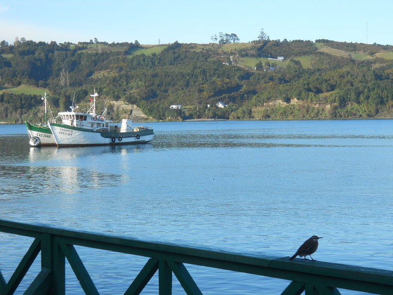 Foto: Dalcahue - Dalcahue (Los Lagos), Chile