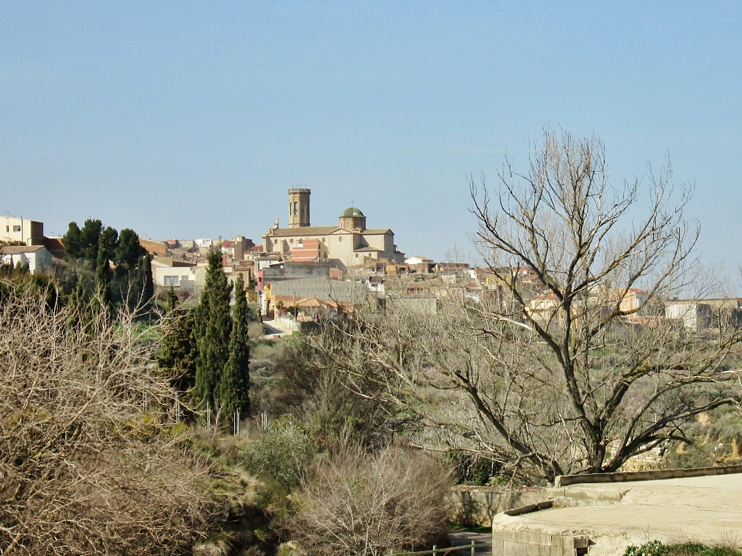 Foto: Vista del pueblo - Batea (Tarragona), España