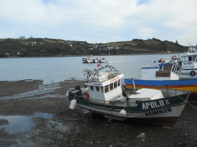 Foto: Dalcahue - Dalcahue (Los Lagos), Chile