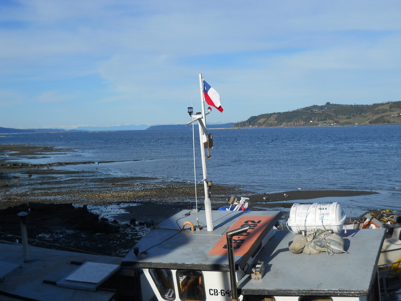 Foto: Dalcahue - Dalcahue (Los Lagos), Chile