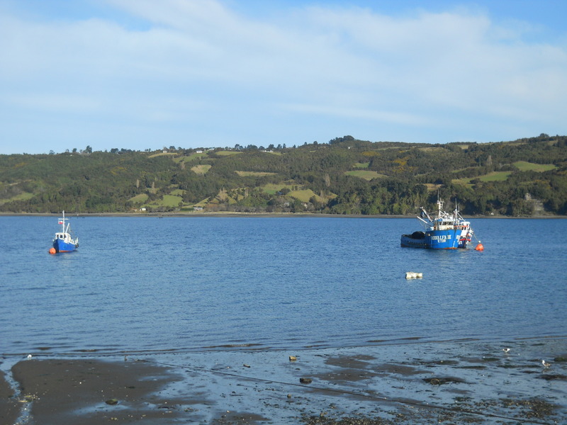 Foto: Dalcahue - Dalcahue (Los Lagos), Chile