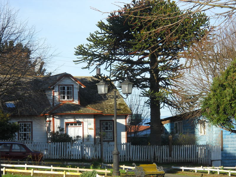 Foto: Dalcahue - Dalcahue (Los Lagos), Chile