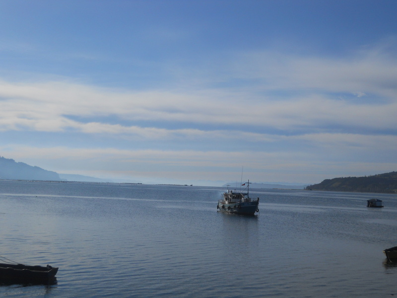 Foto: Dalcahue - Dalcahue (Los Lagos), Chile