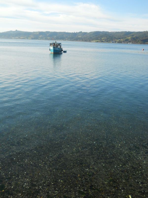 Foto: Dalcahue - Dalcahue (Los Lagos), Chile