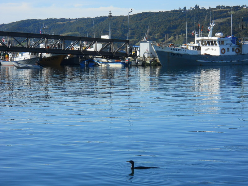 Foto: Dalcahue - Dalcahue (Los Lagos), Chile