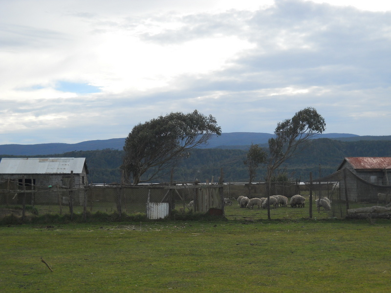 Foto: Cucao - Cucao (Los Lagos), Chile