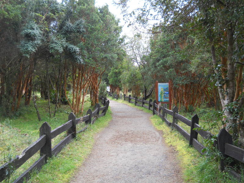 Foto: Parque Nacional Chiloe - Cucao (Los Lagos), Chile