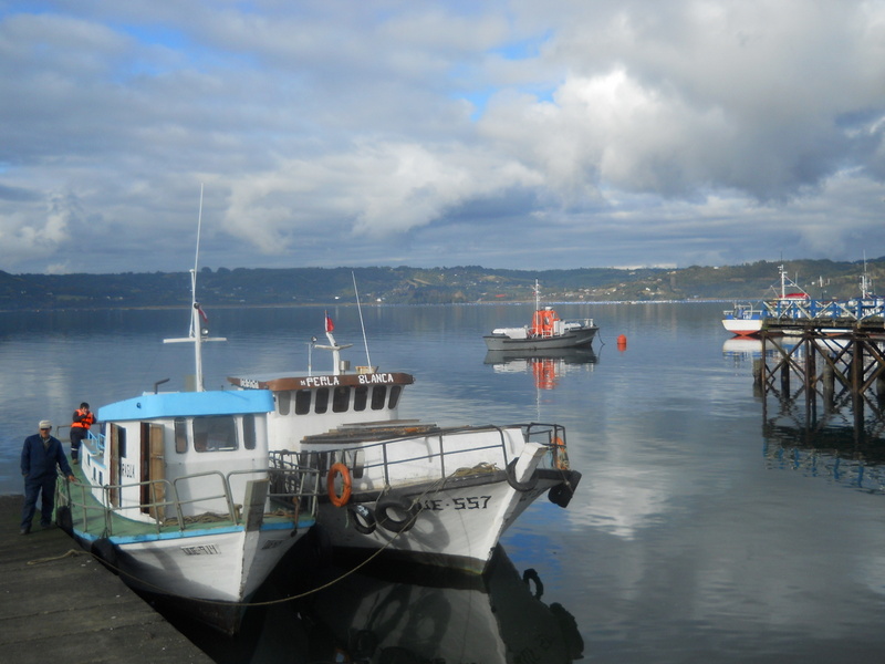 Foto: Quemchi - Quemchi (Los Lagos), Chile